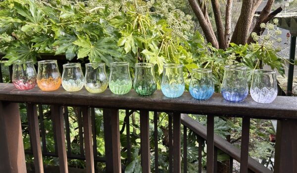 Stemless Wine Glasses