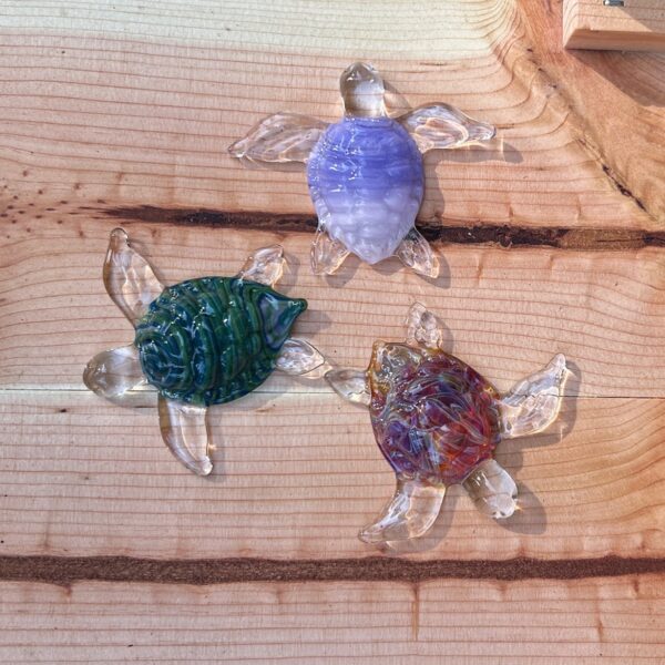 Glass Turtles - Image 3