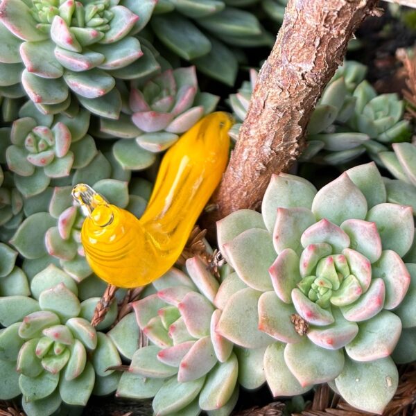 Baby Glass Garden Slugs